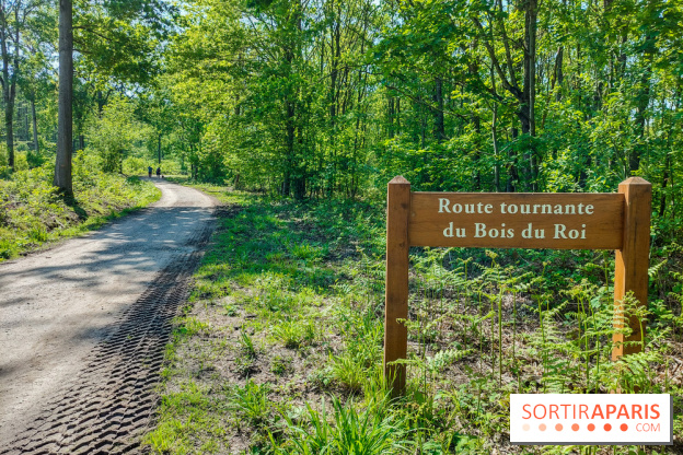 Balade nature dans la forêt de Montmorency, nos photos