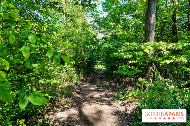 Balade nature dans la forêt de Montmorency, nos photos