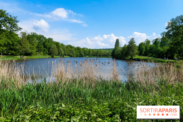 Balade nature dans la forêt de Montmorency, nos photos