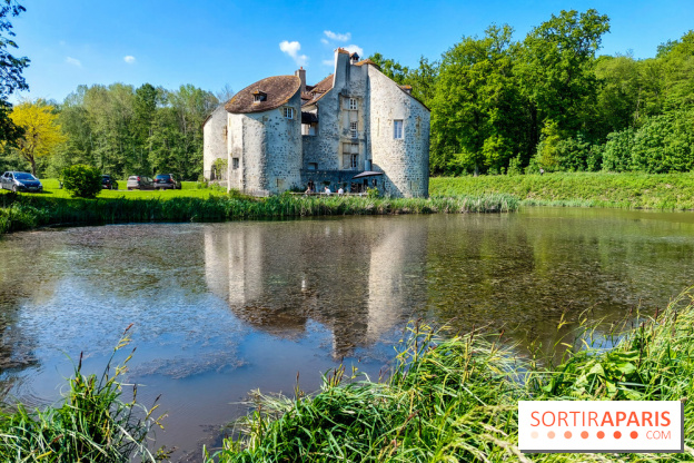 Balade nature dans la forêt de Montmorency, nos photos