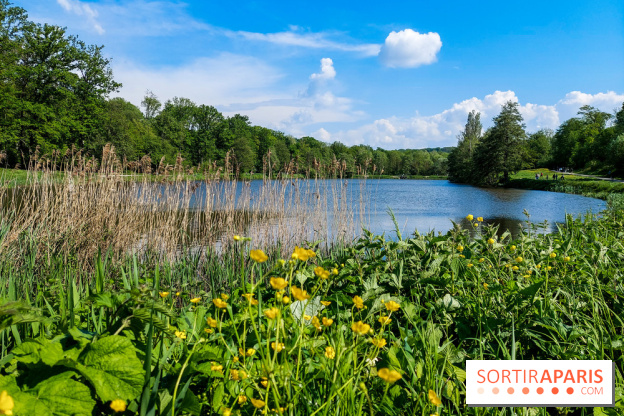 Balade nature dans la forêt de Montmorency, nos photos