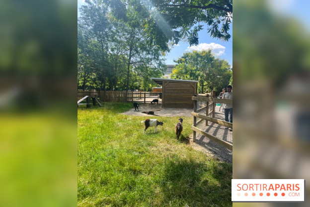 La ferme de la Villette et ses animaux