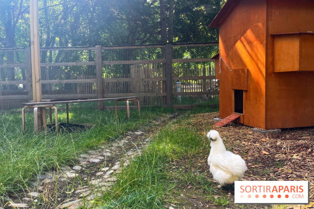 La ferme de la Villette et ses animaux