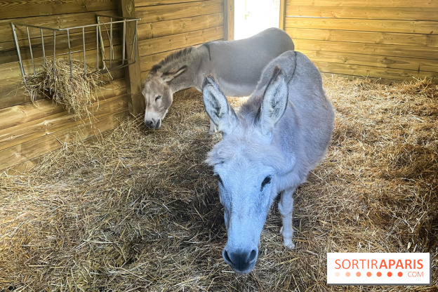 La ferme de la Villette et ses animaux - image00021
