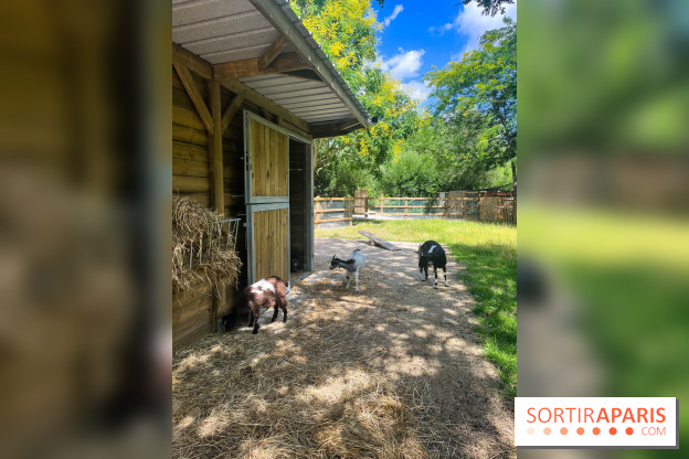 La ferme de la Villette et ses animaux