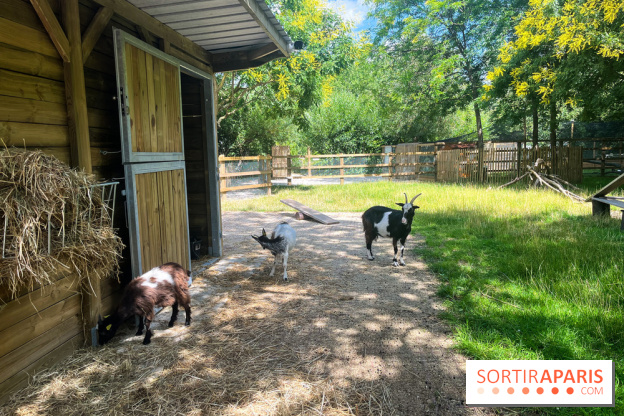 La ferme de la Villette et ses animaux