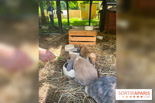 La ferme de la Villette et ses animaux