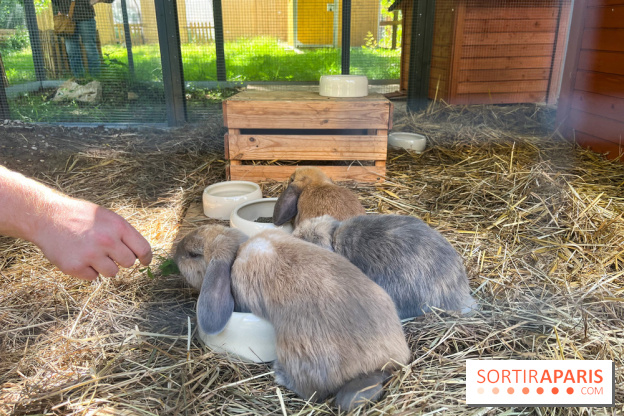 La ferme de la Villette et ses animaux