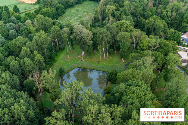 Montgolfière à Fontainebleau, vol au dessus de l'Ile-de-France -  A7C8986