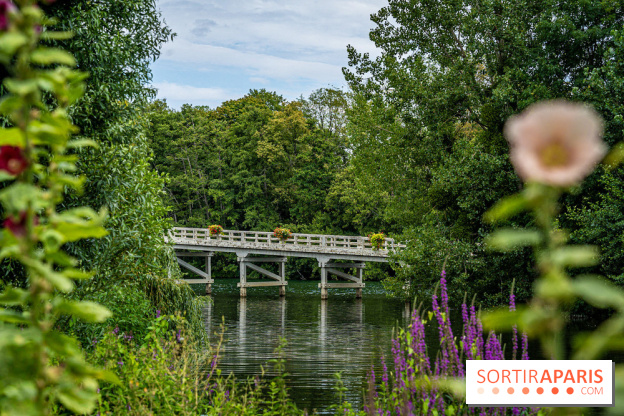 Samois-sur-Seine - Village de Caractère - Seine-et-Marne -  A7C9273