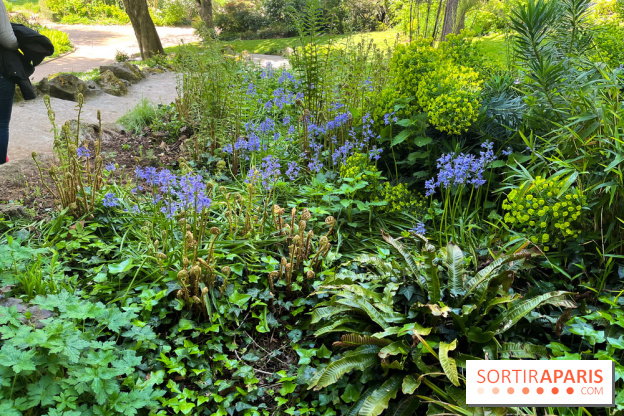 Le parc Kellerman, bijou de verdure dans le 13e arrondissement  - image00020