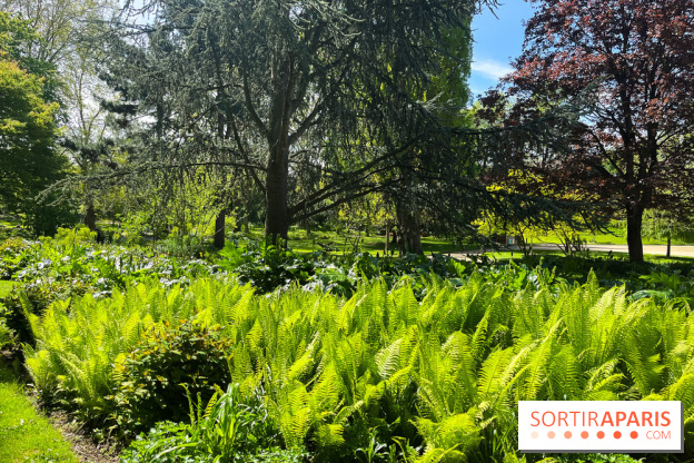 Le parc Kellerman, bijou de verdure dans le 13e arrondissement  - image00014