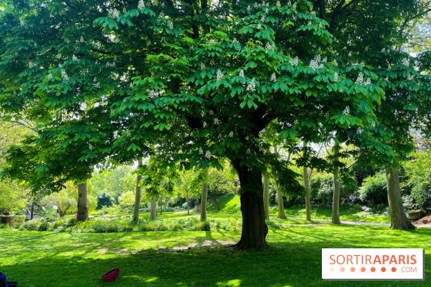 Le parc Kellerman, bijou de verdure dans le 13e arrondissement  - image00012