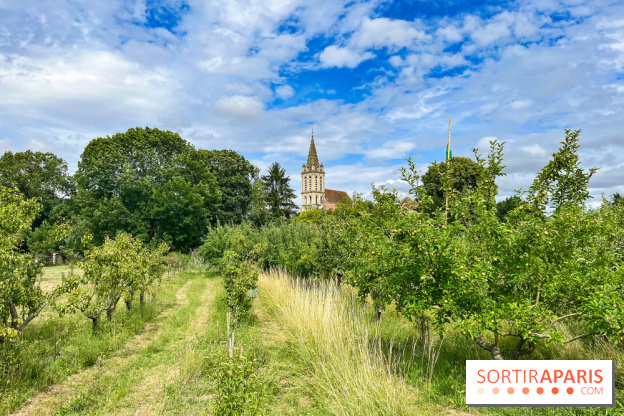 Cergy, la ville aux milles facettes - image00130
