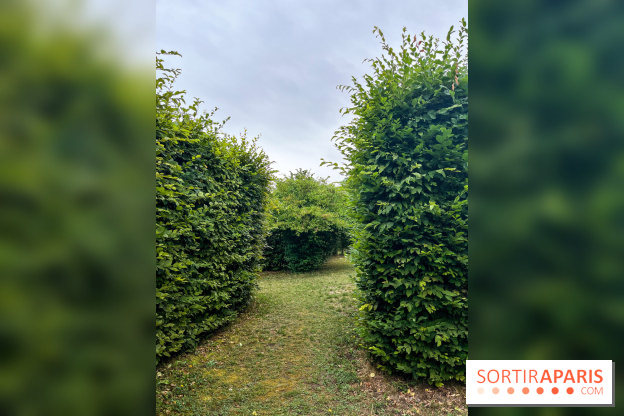 Les labyrinthes de Gally 2023