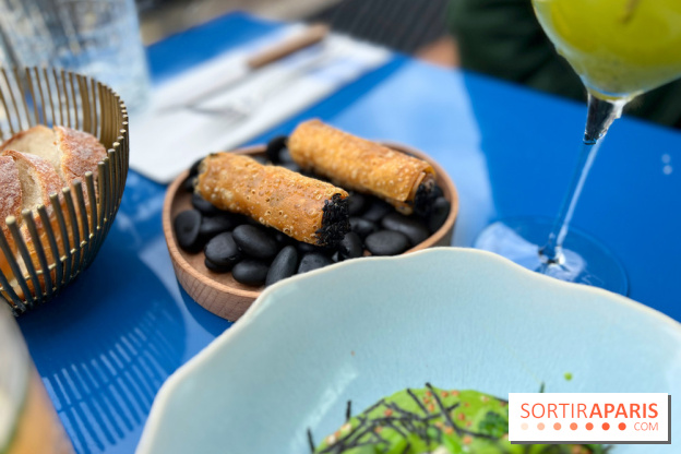 Riviera Fuga - Cannoli tartare de bœuf