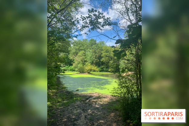 Le Parc forestier de la Poudrerie à Sevran - image00002
