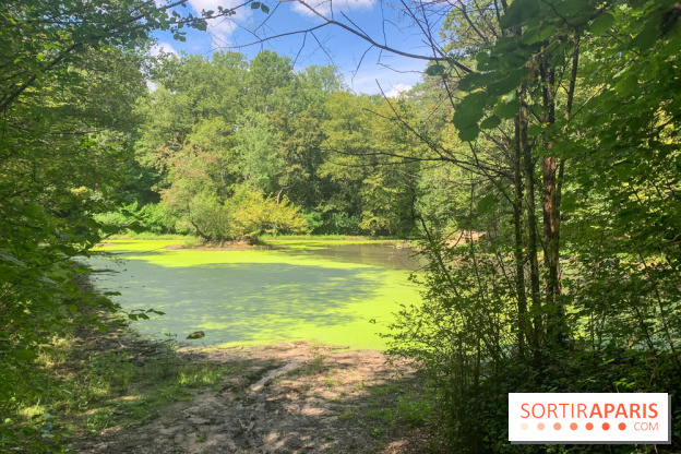 Le Parc forestier de la Poudrerie à Sevran - image00003