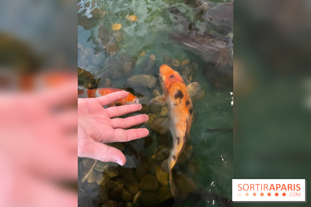 La Maison de la Pêche et de la Nature - image00001