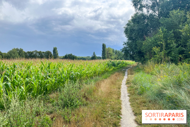 Le long de l'Oise, entre Auvers-sur-Oise et l'Isle-Adam