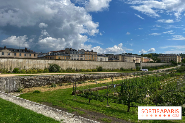 Potager du Roi - IMG 4176