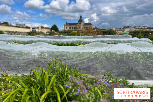 Potager du Roi