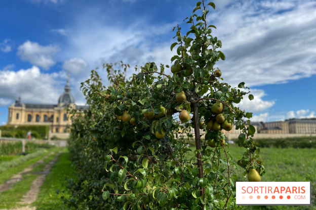 Potager du Roi