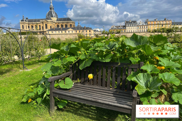 Potager du Roi - IMG 4231
