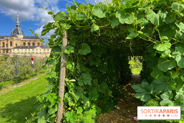 Potager du Roi