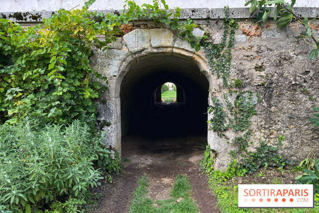 Potager du Roi - IMG 4243