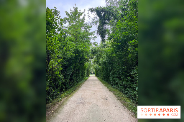Le parc de la Haute-Île à Neuilly-sur-Marne - image00034