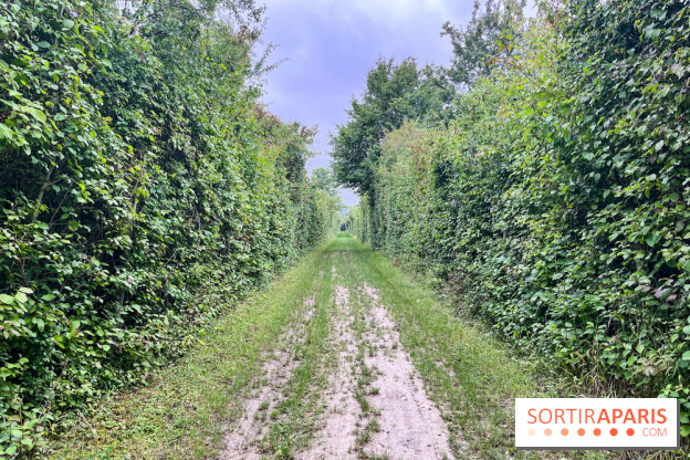 Le parc de la Haute-Île à Neuilly-sur-Marne - image00003