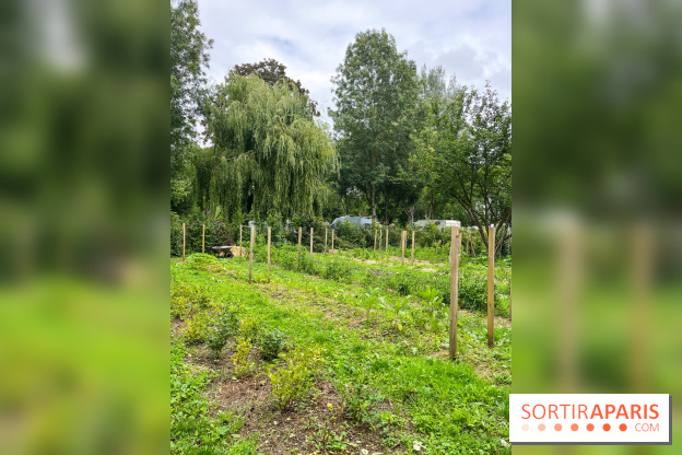 Les Rives de Paris, l'unique camping du 93 à Neuilly-sur-Marne - image00065