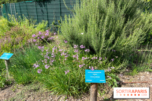 Le parc Georges Brassens, pour se croire à la campagne dans le 15e - image00064
