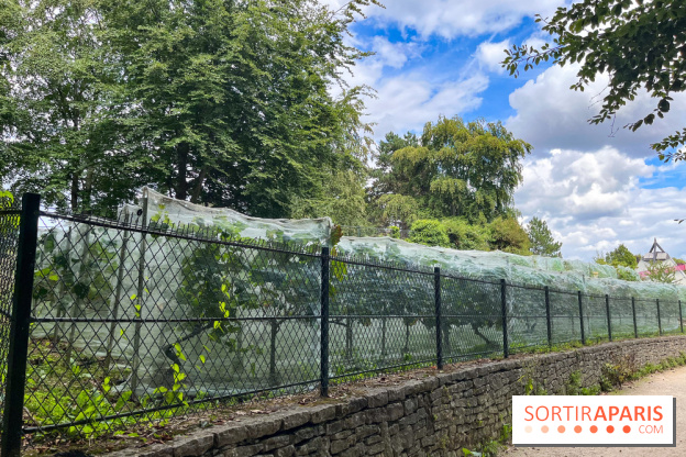 Le parc Georges Brassens, pour se croire à la campagne dans le 15e - image00031