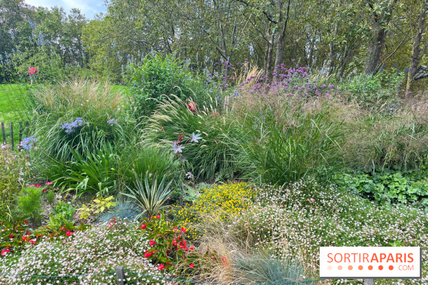 Le parc Georges Brassens, pour se croire à la campagne dans le 15e - image00017