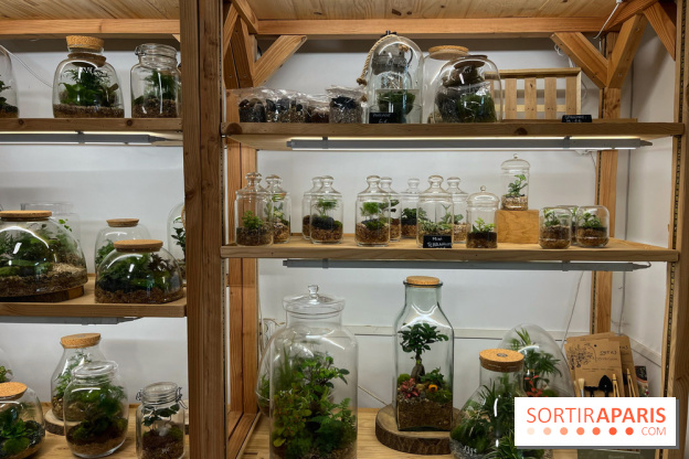 Boby la Plante - IMG 4332