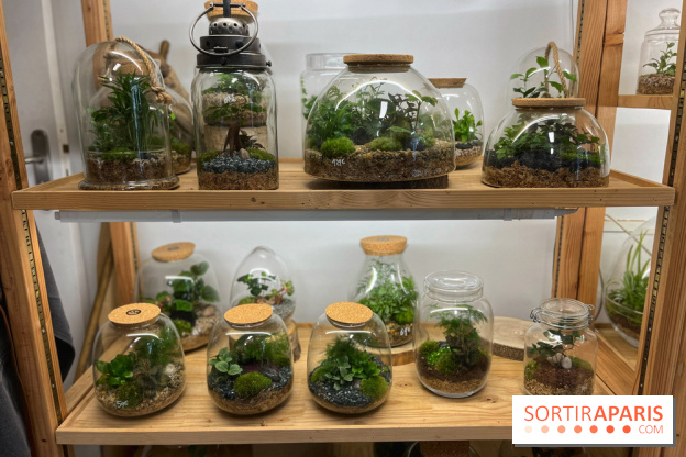 Boby la Plante - IMG 4334