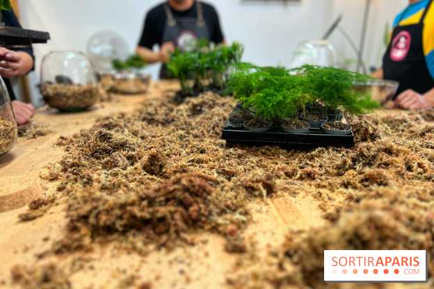 Boby la Plante - IMG 4340