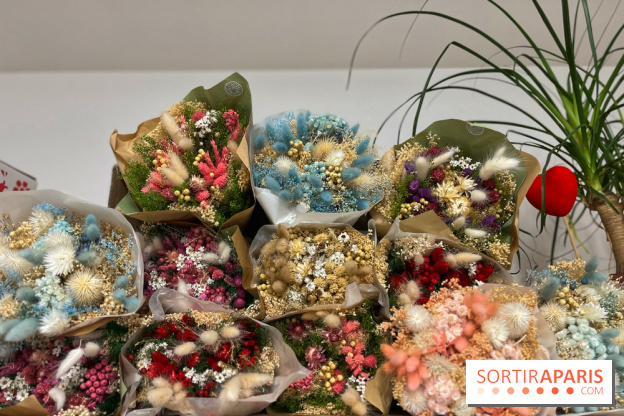 Boby la Plante - IMG 4353