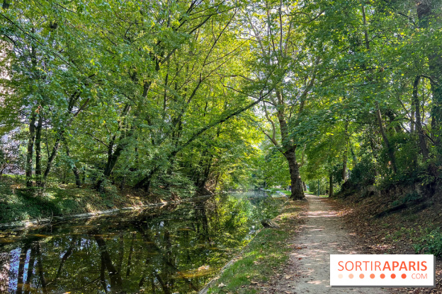 Les lacs et rivières du Vésinet, dans les Yvelines - image00069