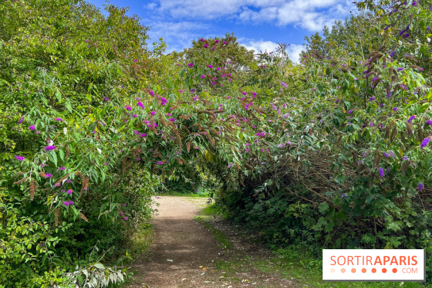 L'étang de la Galiotte dans le parc du Peuple de l'Herbe - Carrières-sous-Poissy (Yvelines)