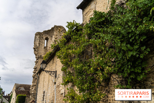Grez-sur-Loing, le charmant village de Seine-et-Marne  -  A7C9386