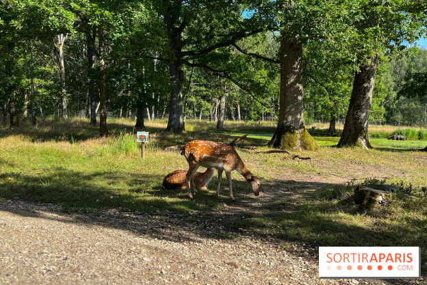 Espace Rambouillet