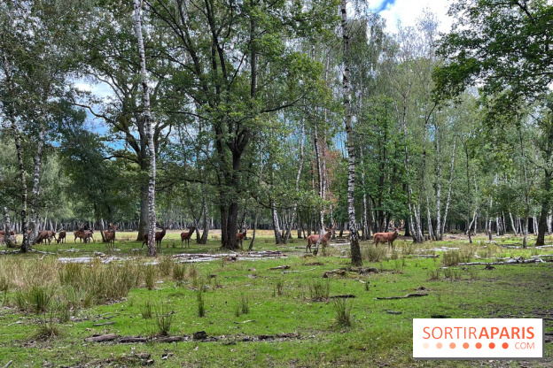 Espace Rambouillet - IMG 4529