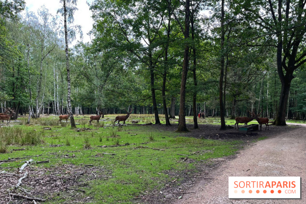 Espace Rambouillet
