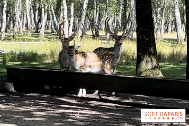 Espace Rambouillet - IMG 4544