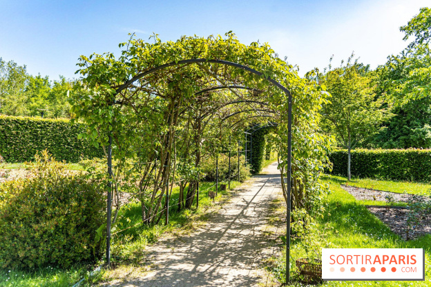 Parc de La Croix du Bois à Voisins-le-Bretonneux -  A7C4049
