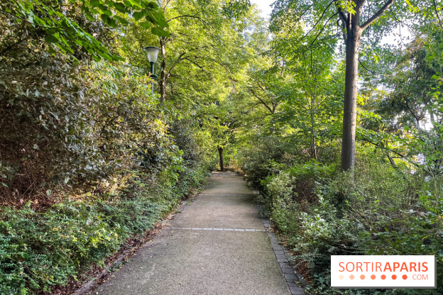 Le parc de Belleville - image00057