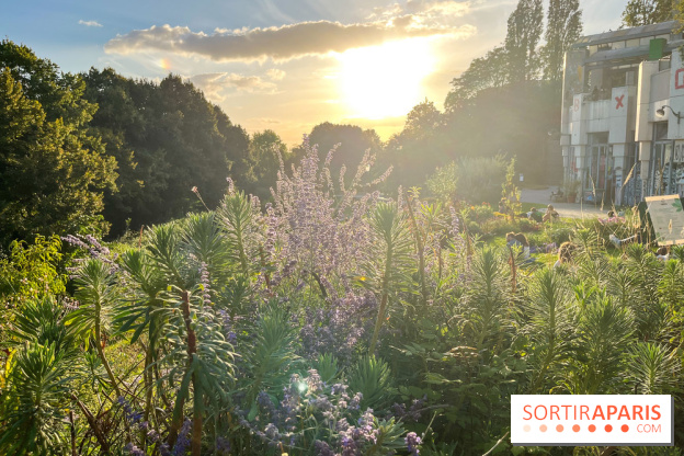 Le parc de Belleville - image00027